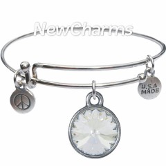 JT108 Silver Ohm ORing Charm