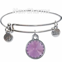 JT108 Silver Ohm ORing Charm