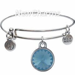 JT108 Silver Ohm ORing Charm