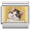 CT1125 Cat Picture Italian Charm
