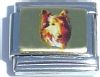 CT1129 Dog Face on Gold Italian Charm