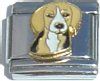 CT1270 Beagle Dog Italian Charm