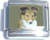 CT1314 Sheltie Italian Charm