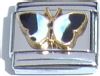Butterfly (blue and white)
