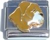 CT1492 Boxer or American Bulldog Italian Charm