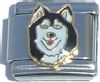 CT1620 Siberian Husky Face Italian Charm