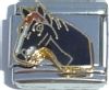 Horse Head in Black
