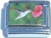 CT1931 Hummingbird Image Italian Charm