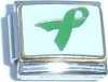 CT3092G Green Ribbon Italian Charm