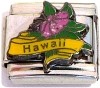 CT3458 Hawaii Italian Charm