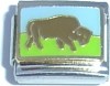 Buffalo Italian Charm