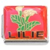 CT7238 Lilly White Flower on Red Italian Charm