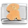 CT7392 Cute Brown Puppy Dog Sitting Italian Charm