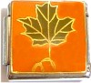 CT9254 Dark Leaf on Orange Italian Charm