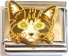 CT9280 Kitten Brown Italian Charm