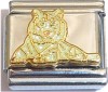 CT9299 Big White Cat