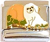 CT6643 Maltese and Pumpkin Italian Charm