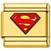 TG2019 Super Hero S Gold Value Italian Charm