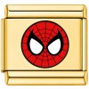 TG2042 Spidey Face Web Gold Value Italian Charm