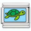 TV1081 Cute Sea Turtle Value Italian Charm