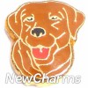 H1440 Brown Dog Floating Locket Charm