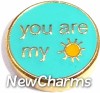 H1637 You Are My Sunshine Floating Locket Charm