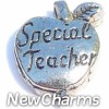 H4039 Special Teacher Floating Locket Charm
