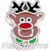 H8290 Rudolph Floating Locket Charm