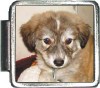 A10004 Puppy Italian Charm