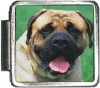 A10014 Bulldog2 Italian Charm