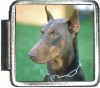 A10015 Doberman Italian Charm