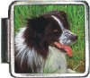 A10016 Border Collie Italian Charm